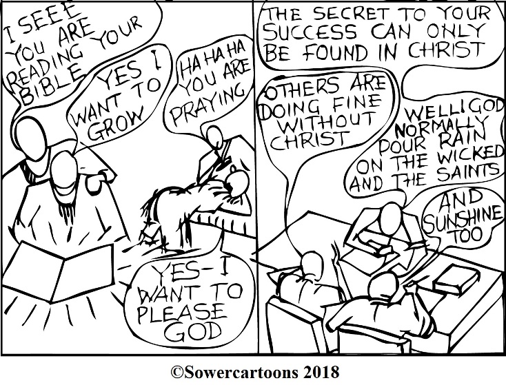 Sowercartoons SECRET OF SUCCESS