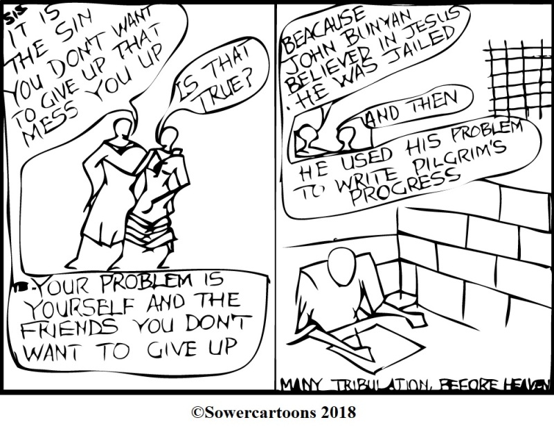 Sowercartoons EXPECT PROBLEMS