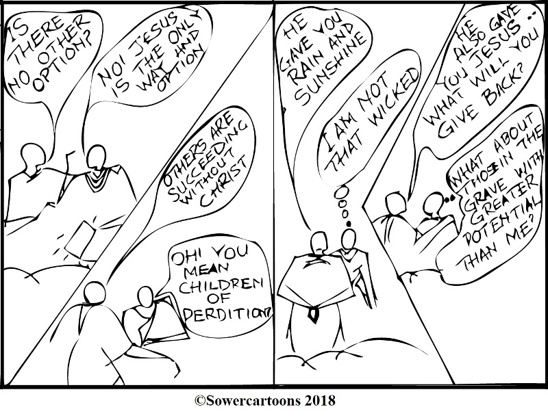 Sowercartoons FORMULA FOR SUCCESS