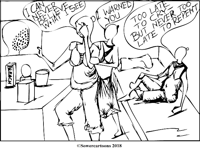 Sowercartoons SIN COMES OUT PUBLICLY (1)